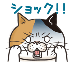 Cat Looks 4 -ugly cat sticker- sticker #4247621