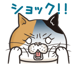 Cat Looks 4 -ugly cat sticker- sticker #4247621