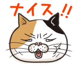 Cat Looks 4 -ugly cat sticker- sticker #4247622