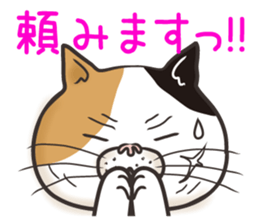 Cat Looks 4 -ugly cat sticker- sticker #4247623