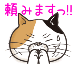 Cat Looks 4 -ugly cat sticker- sticker #4247623