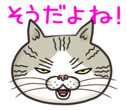 Cat Looks 4 -ugly cat sticker- sticker #4247628