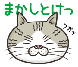 Cat Looks 4 -ugly cat sticker- sticker #4247629