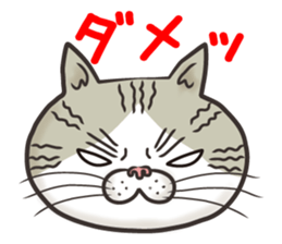 Cat Looks 4 -ugly cat sticker- sticker #4247630