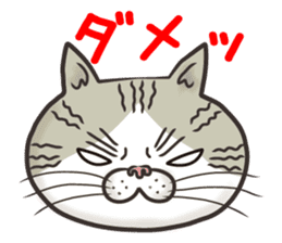 Cat Looks 4 -ugly cat sticker- sticker #4247630