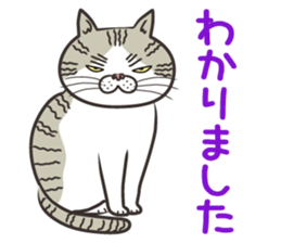 Cat Looks 4 -ugly cat sticker- sticker #4247631