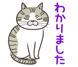 Cat Looks 4 -ugly cat sticker- sticker #4247631