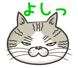 Cat Looks 4 -ugly cat sticker- sticker #4247632