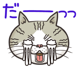 Cat Looks 4 -ugly cat sticker- sticker #4247634