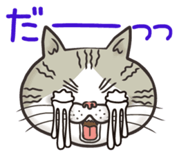 Cat Looks 4 -ugly cat sticker- sticker #4247634