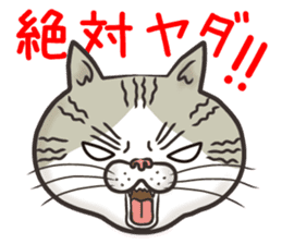 Cat Looks 4 -ugly cat sticker- sticker #4247635