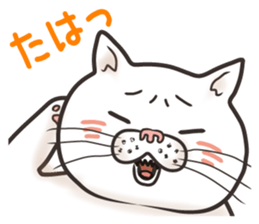 Cat Looks 4 -ugly cat sticker- sticker #4247637