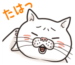 Cat Looks 4 -ugly cat sticker- sticker #4247637