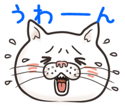 Cat Looks 4 -ugly cat sticker- sticker #4247638