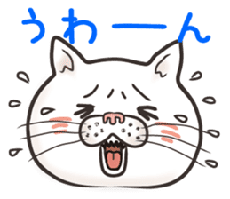 Cat Looks 4 -ugly cat sticker- sticker #4247638