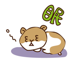 Hamster Meister sticker #4249074