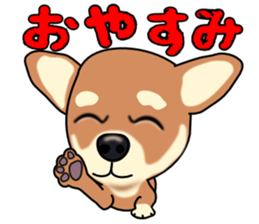 Chihuahua's happy sticker sticker #4249082