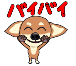 Chihuahua's happy sticker sticker #4249083