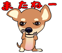 Chihuahua's happy sticker sticker #4249084