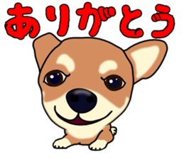 Chihuahua's happy sticker sticker #4249085
