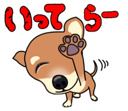 Chihuahua's happy sticker sticker #4249086