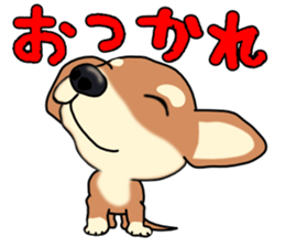 Chihuahua's happy sticker sticker #4249088