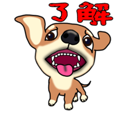 Chihuahua's happy sticker sticker #4249089