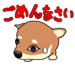 Chihuahua's happy sticker sticker #4249090