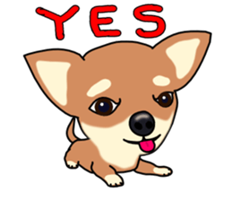 Chihuahua's happy sticker sticker #4249092