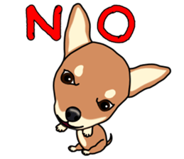 Chihuahua's happy sticker sticker #4249093