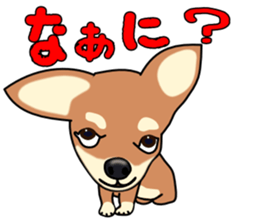 Chihuahua's happy sticker sticker #4249095