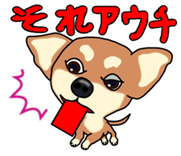 Chihuahua's happy sticker sticker #4249098