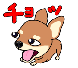 Chihuahua's happy sticker sticker #4249099
