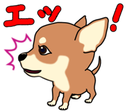 Chihuahua's happy sticker sticker #4249101