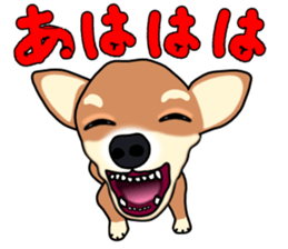Chihuahua's happy sticker sticker #4249103