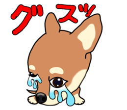 Chihuahua's happy sticker sticker #4249106