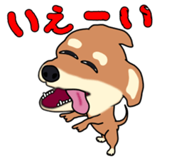 Chihuahua's happy sticker sticker #4249107