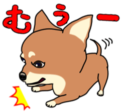 Chihuahua's happy sticker sticker #4249108