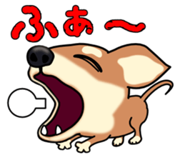 Chihuahua's happy sticker sticker #4249109