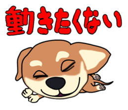 Chihuahua's happy sticker sticker #4249113