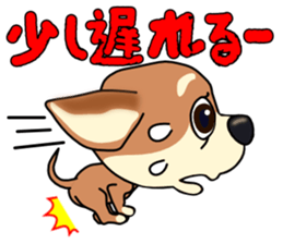 Chihuahua's happy sticker sticker #4249116