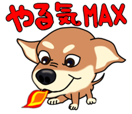 Chihuahua's happy sticker sticker #4249117