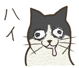 Playful cat and handsome cat. sticker #4249361