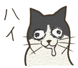 Playful cat and handsome cat. sticker #4249361