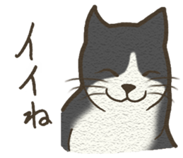 Playful cat and handsome cat. sticker #4249362