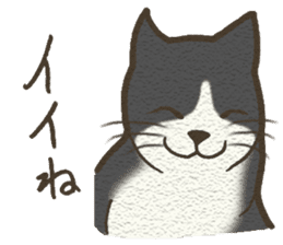 Playful cat and handsome cat. sticker #4249362