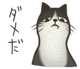 Playful cat and handsome cat. sticker #4249363