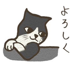 Playful cat and handsome cat. sticker #4249366