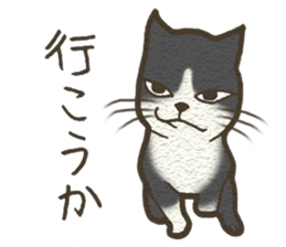 Playful cat and handsome cat. sticker #4249367