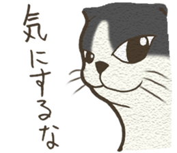 Playful cat and handsome cat. sticker #4249369